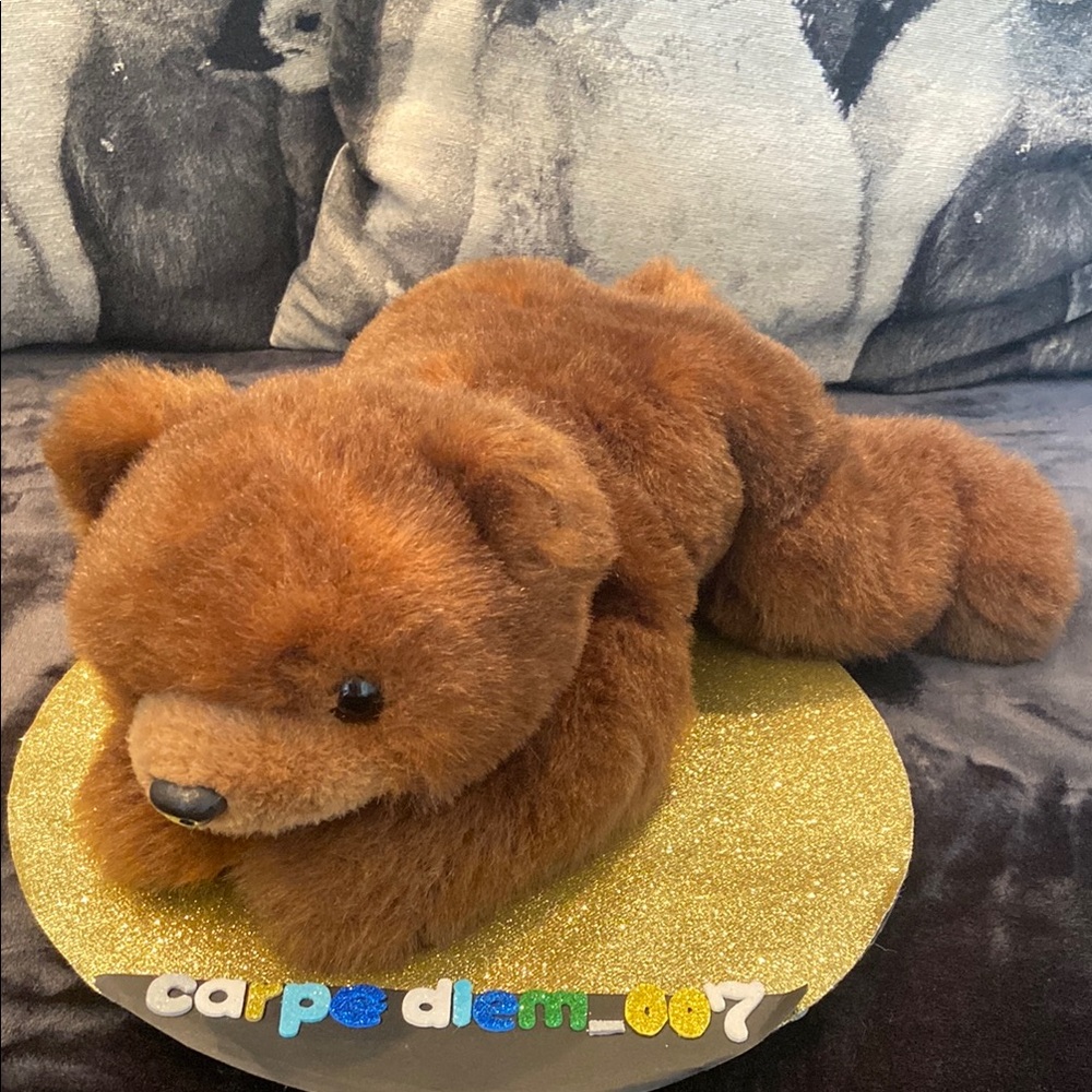**EUC** 1996 Ty brown bear Grizzly 🐻